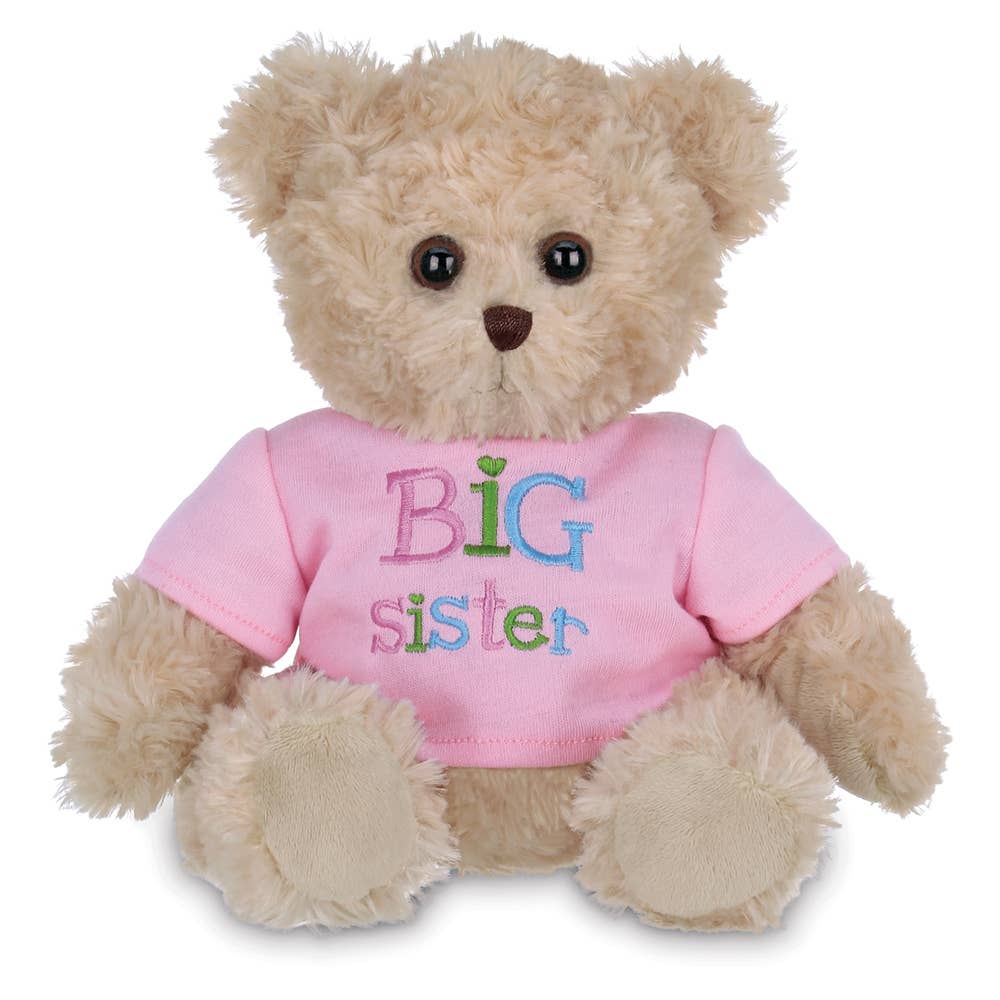 Big Brother or Sister Teddy Bear - Image 3