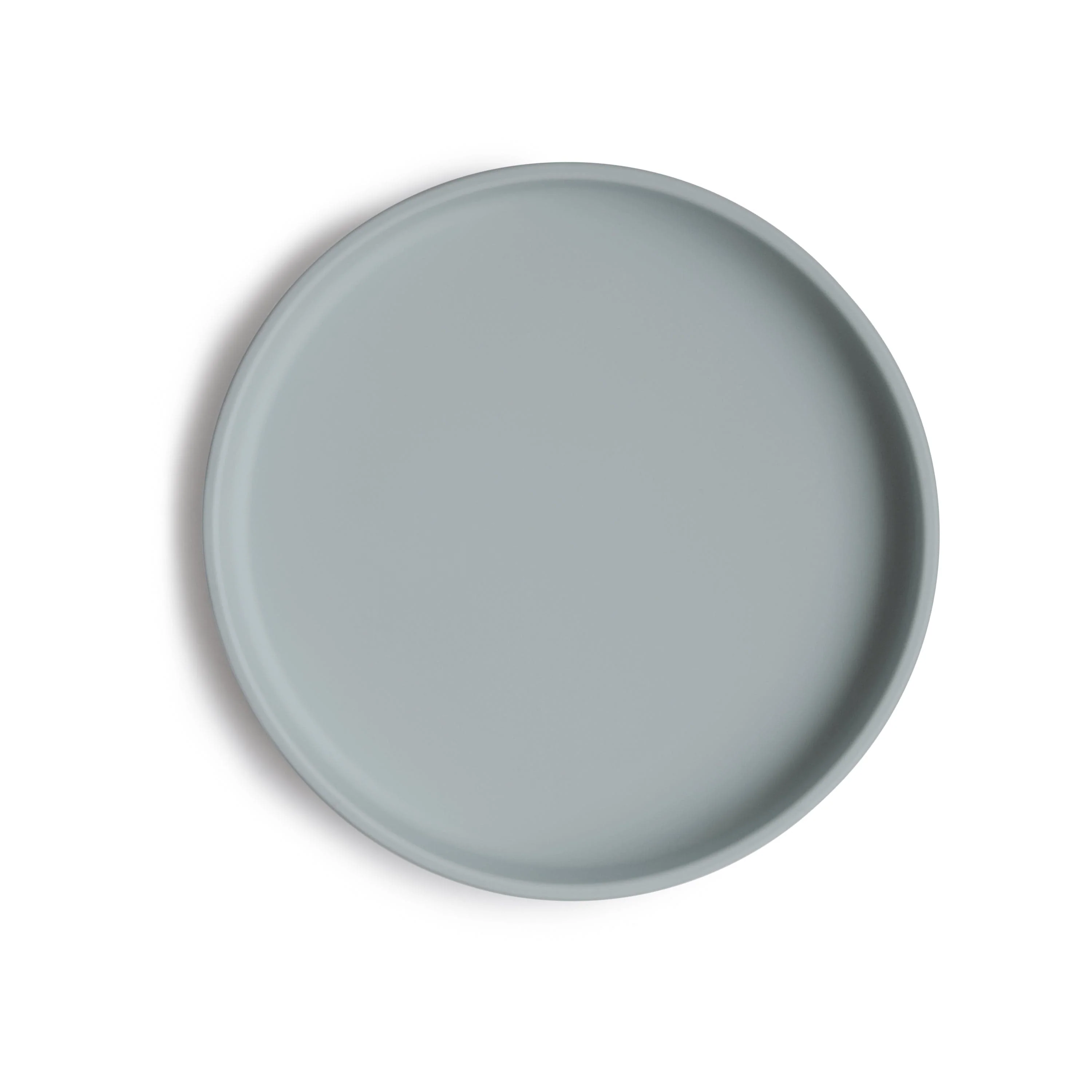 Classic Silicone Suction Plate - Image 24