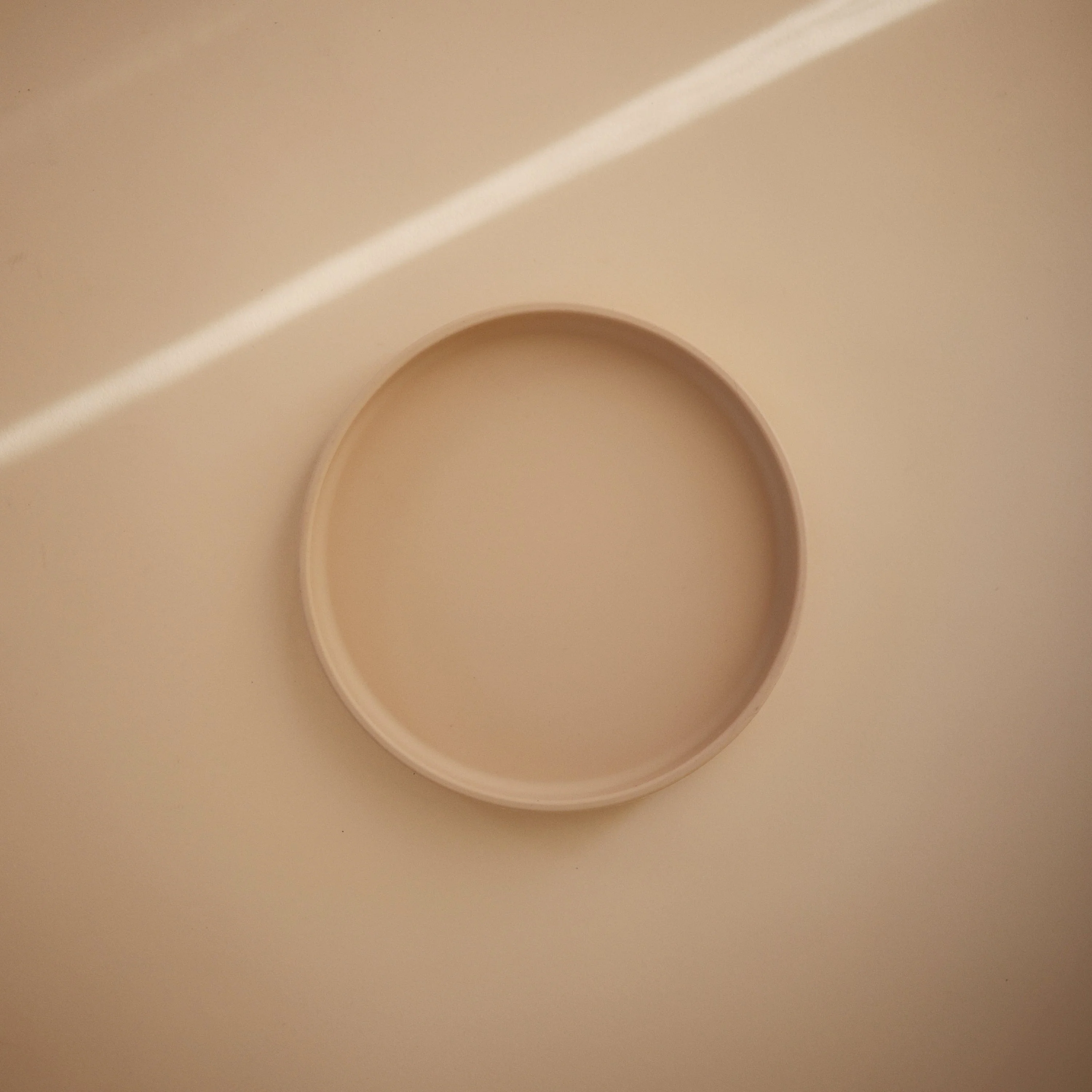Classic Silicone Suction Plate - Image 53
