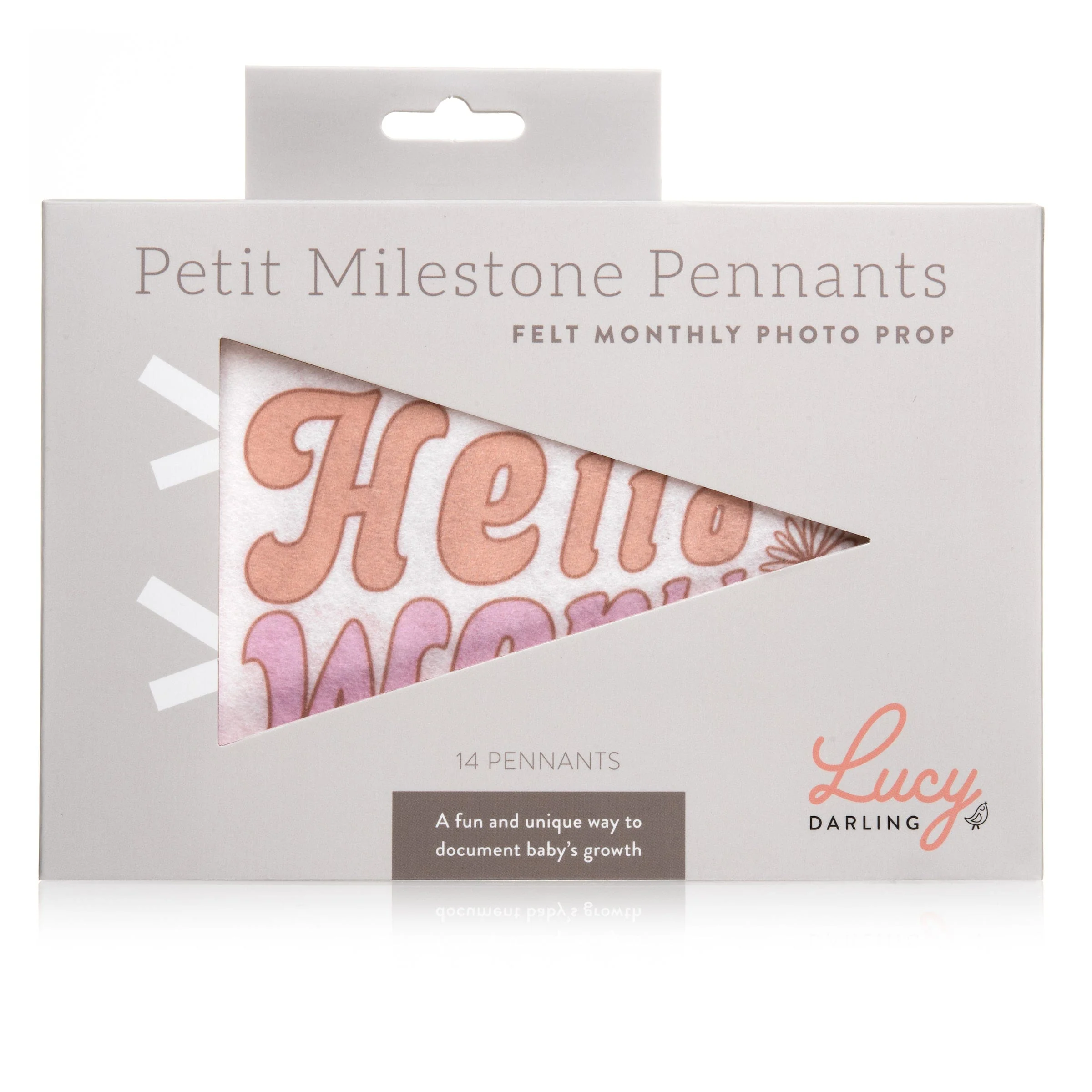 Flower Child Petit Milestone Pennant - Image 4