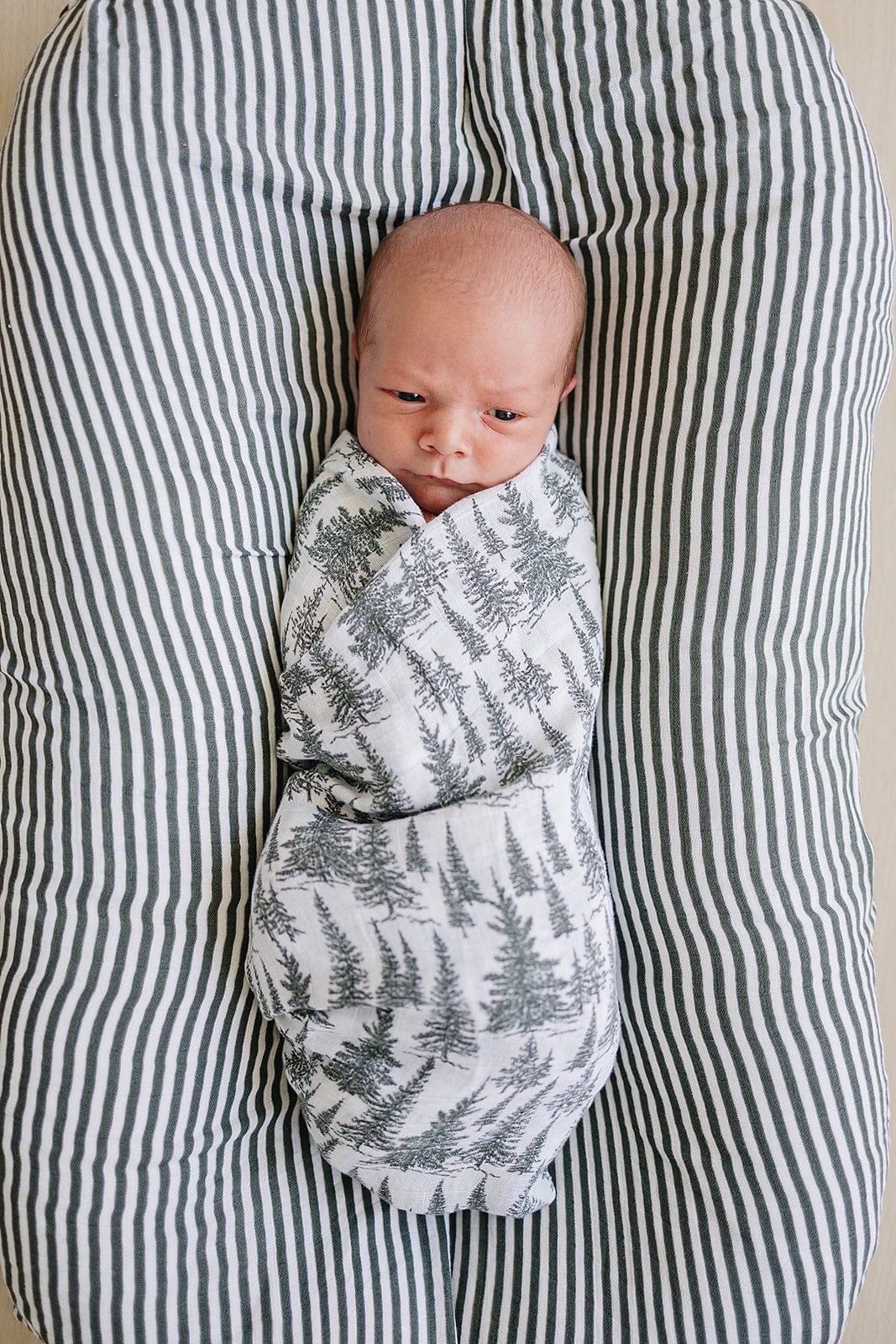 Forest Muslin Swaddle Blanket - Image 2