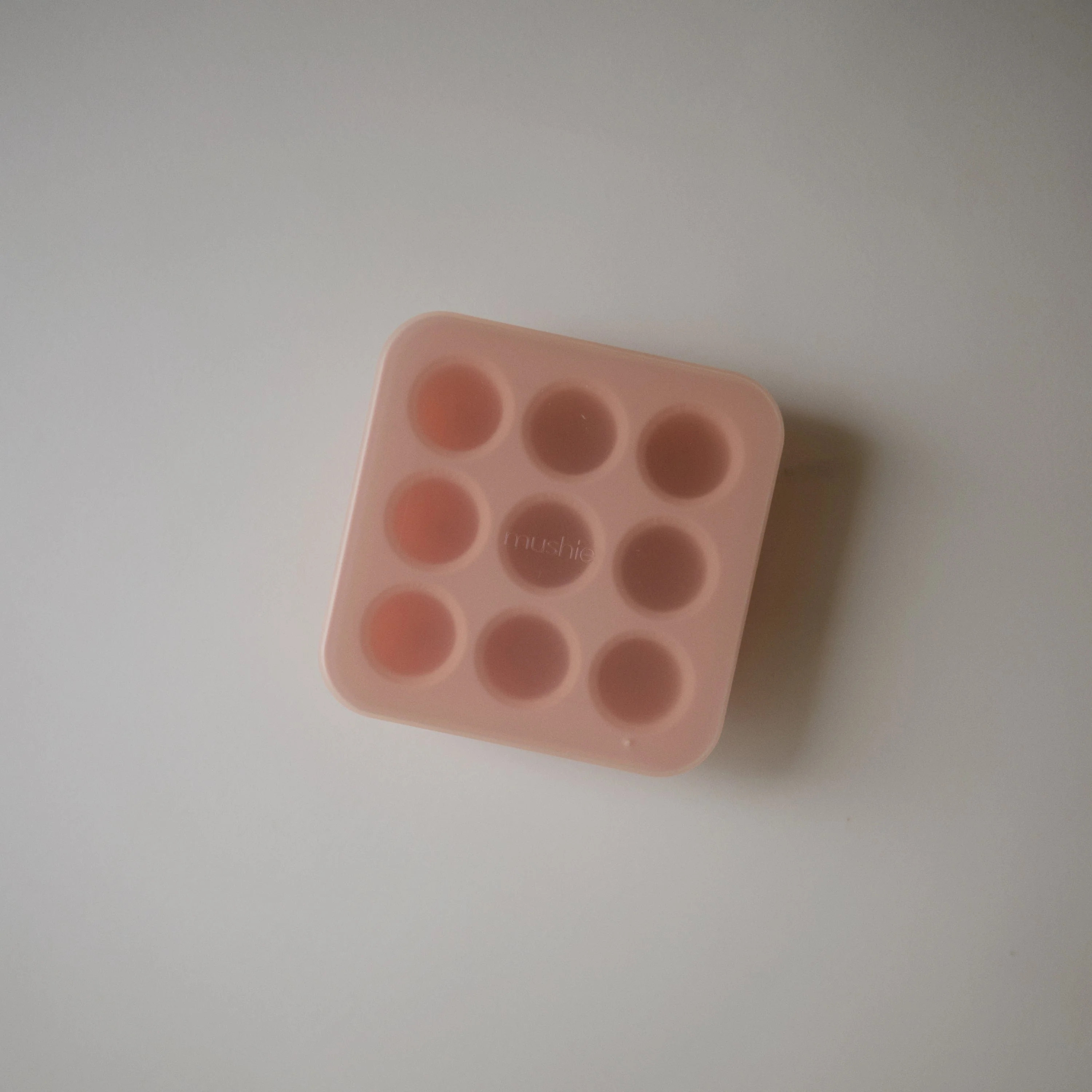 Fresh Food Feeder Freezer Tray - Image 5