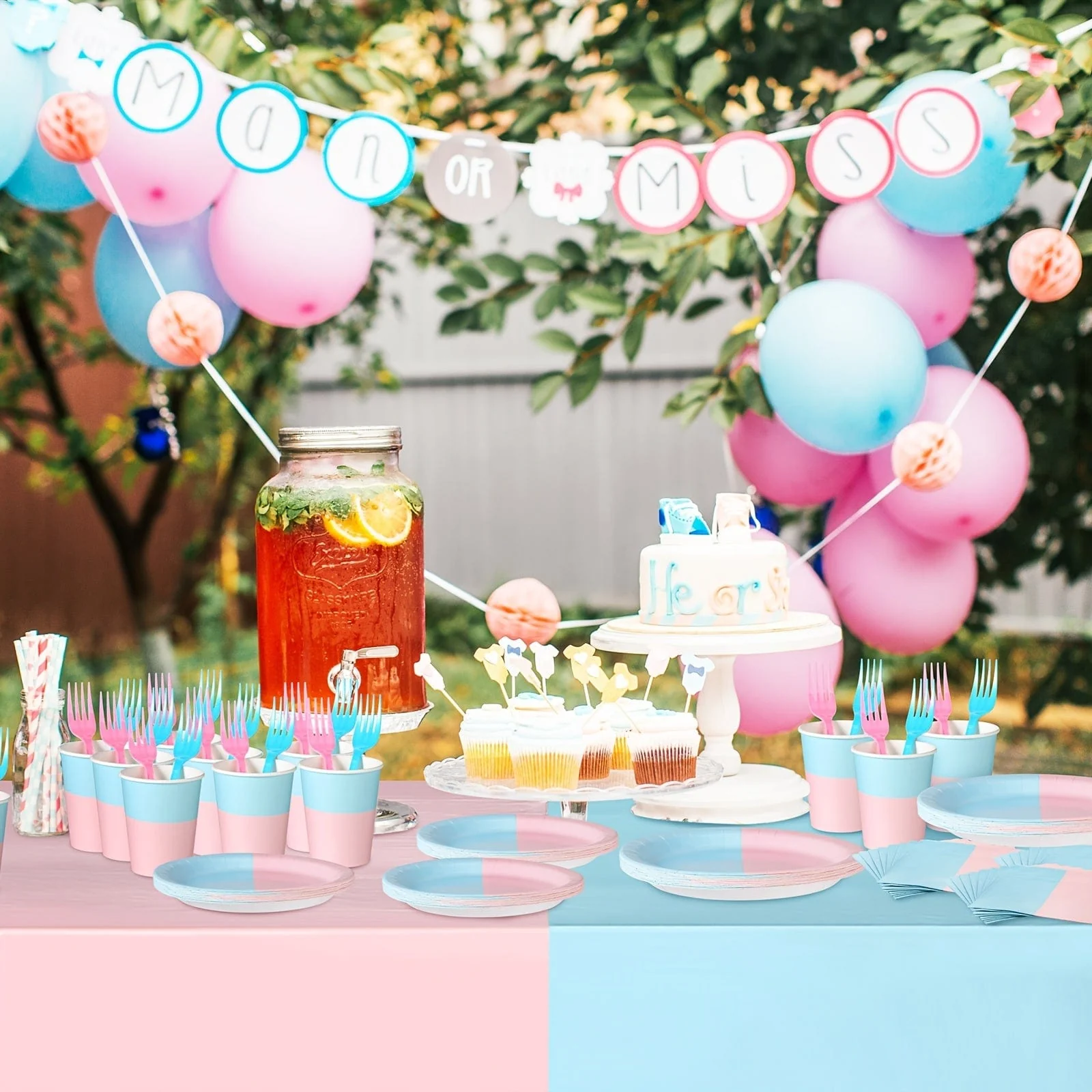 Gender Reveal Party Supplies Kit - Image 5