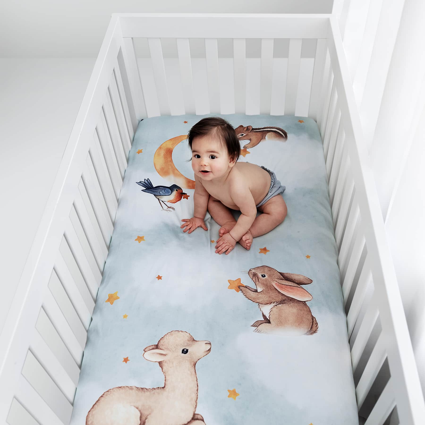 Goodnight Wonderland Standard Size Crib Sheet - Image 3