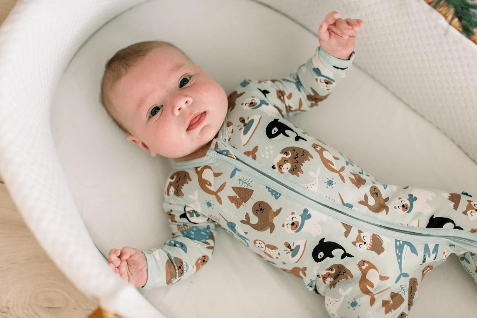 Bamboo Footie with 2-Way Zipper - Aloe Arctic Animals - Image 2