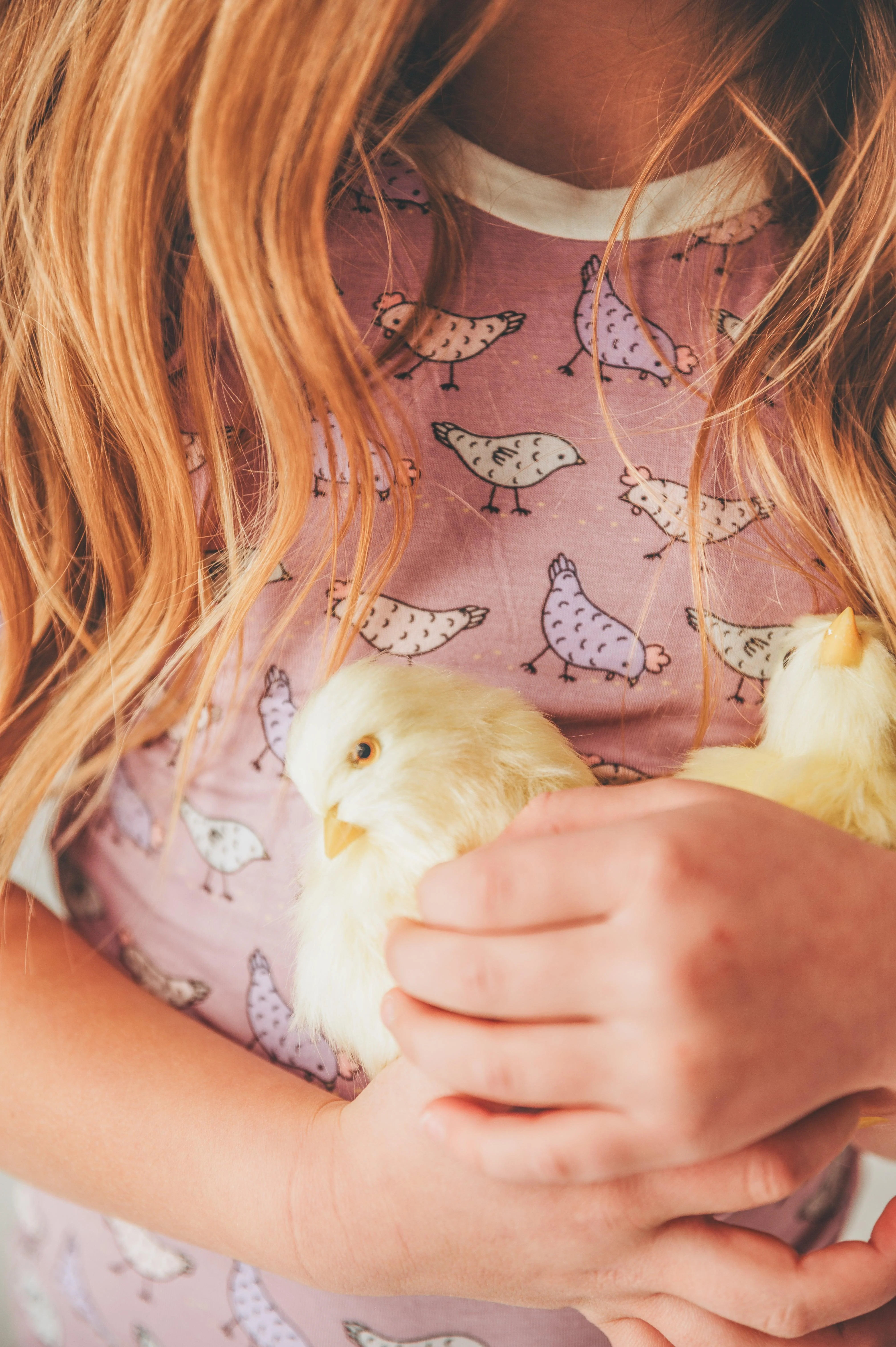 Bamboo Short Sleeve Pajama Set - Lavender Chickens - Image 9