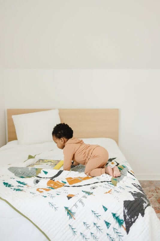 Large Throw Blanket - National Parks - Image 4