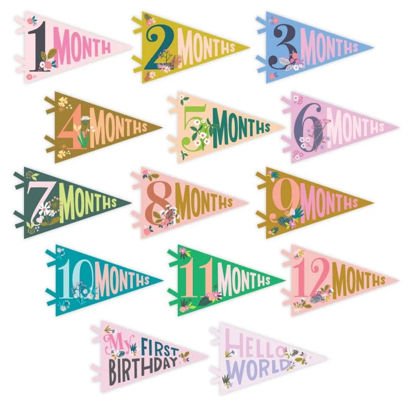 Little Artist Petit Milestone Pennants - Image 2