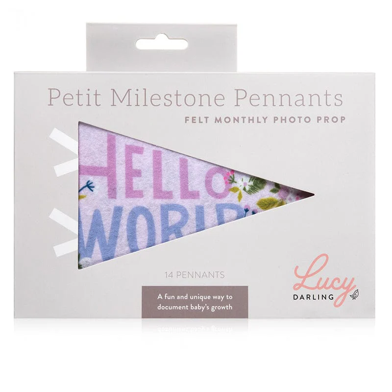 Little Artist Petit Milestone Pennants - Image 6