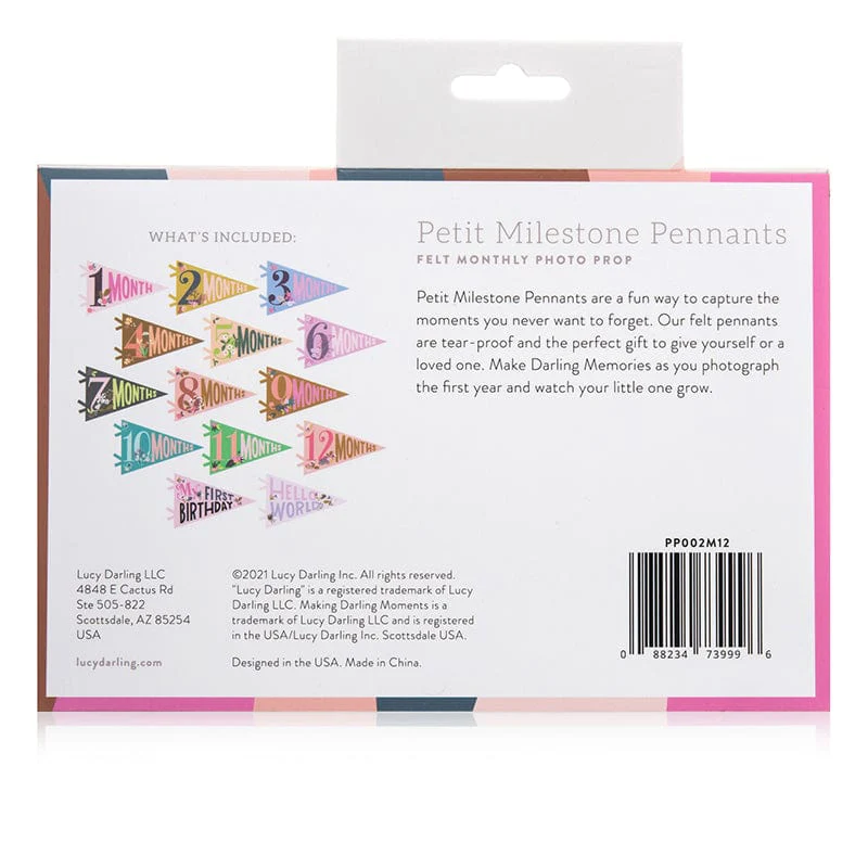 Little Artist Petit Milestone Pennants - Image 7