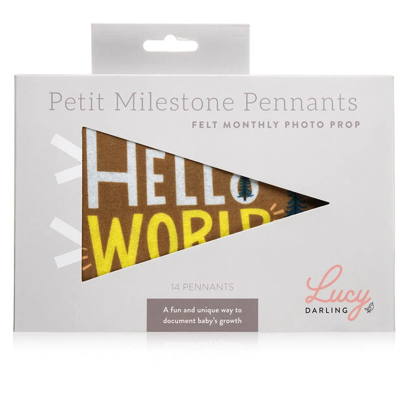Little Camper Petit Milestone Pennants - Image 5