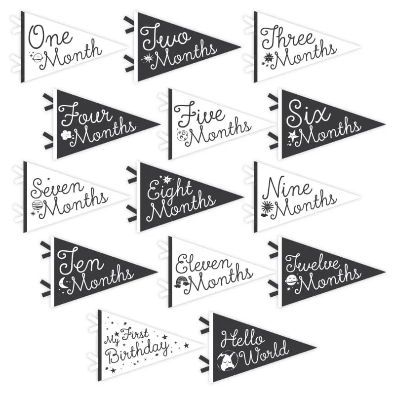 Little Stargazer Petit Milestone Pennants - Image 2