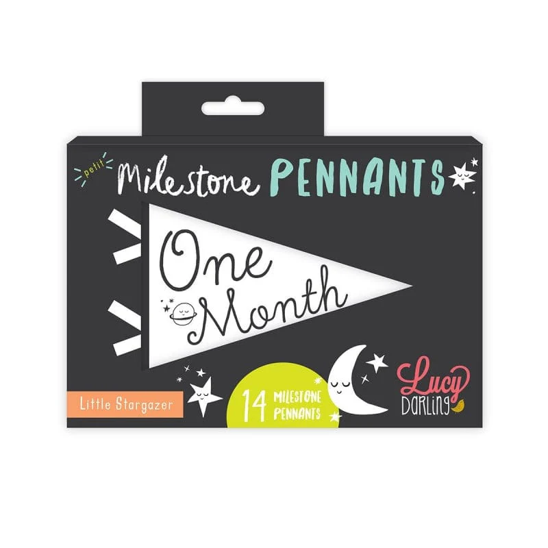 Little Stargazer Petit Milestone Pennants - Image 5