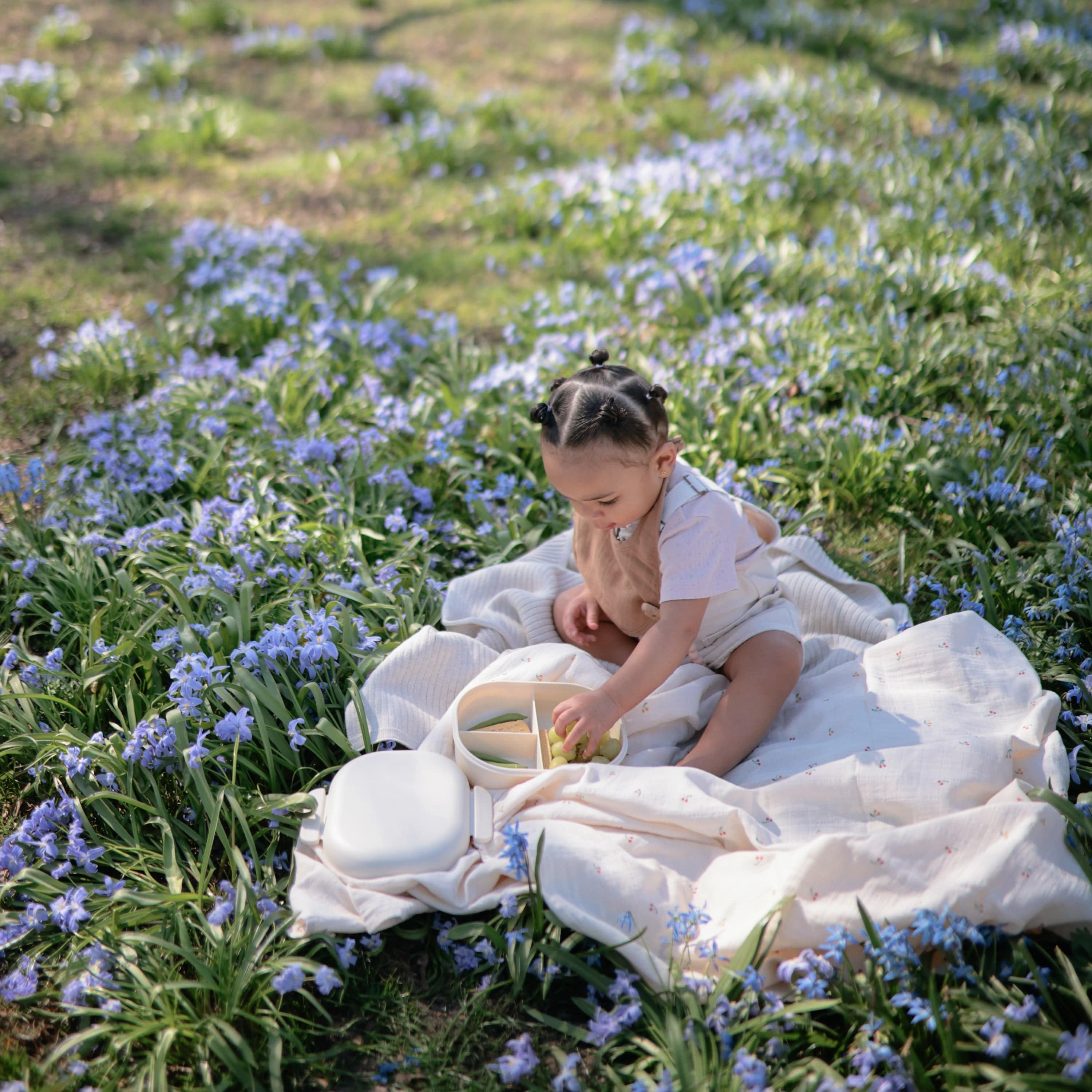 Lunchbox - Image 24