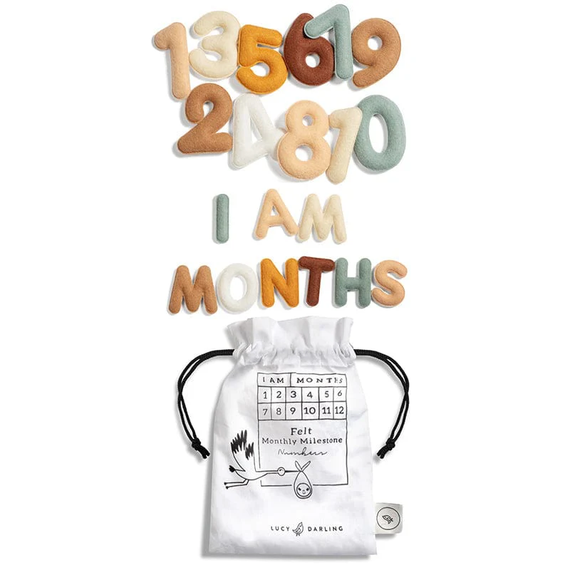 Milestone Felt Numbers in Neutral - Image 4