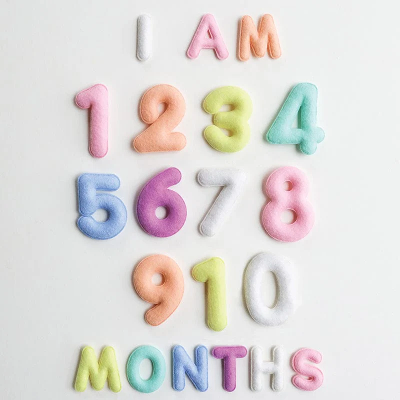 Milestone Felt Numbers in Pastel - Image 3