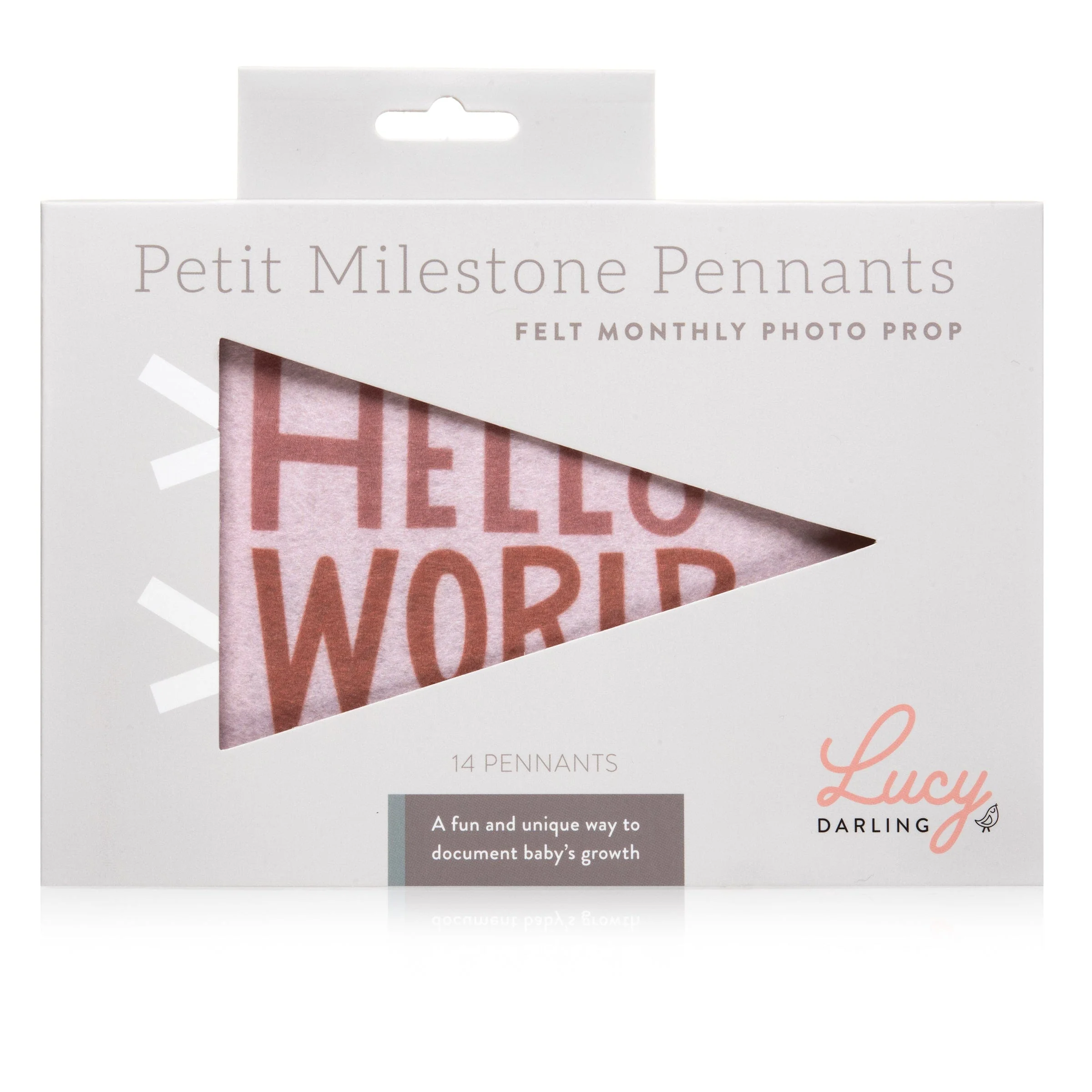 Mountain Fields Petit Baby Milestone Pennant - Image 4