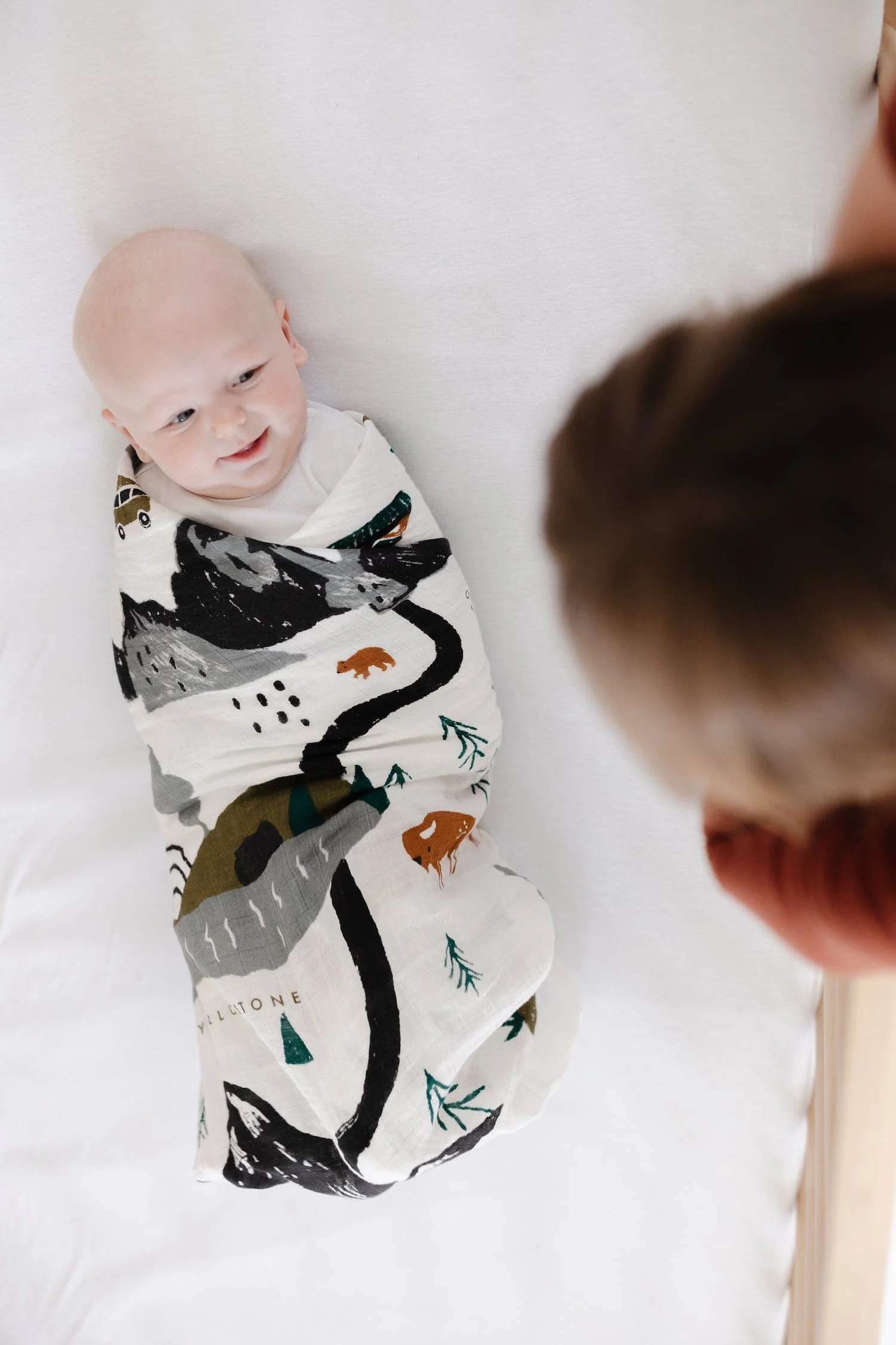 Swaddle Blanket - National Parks - Image 4
