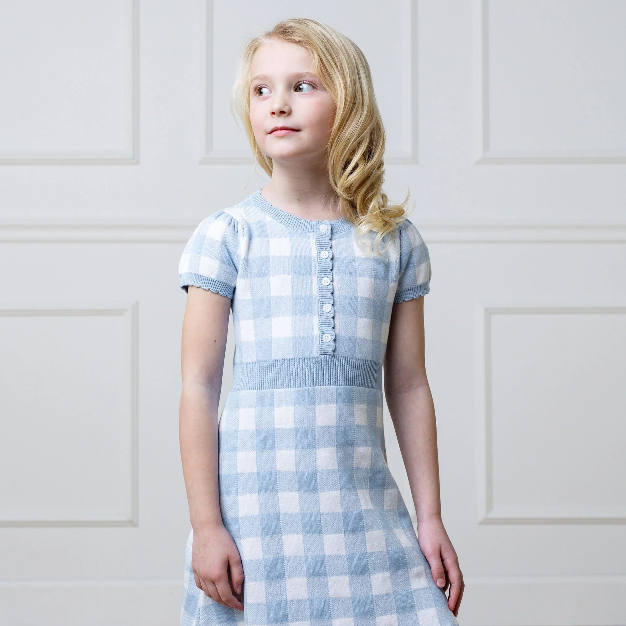 Organic Button Front Sweater Dress - Classic Blue Gingham - Image 8