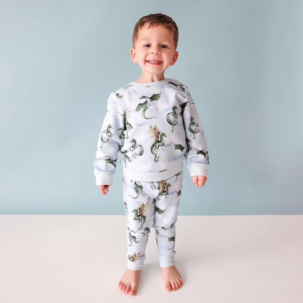 Boy's Jogger, Percy (Dragons) - Image 2