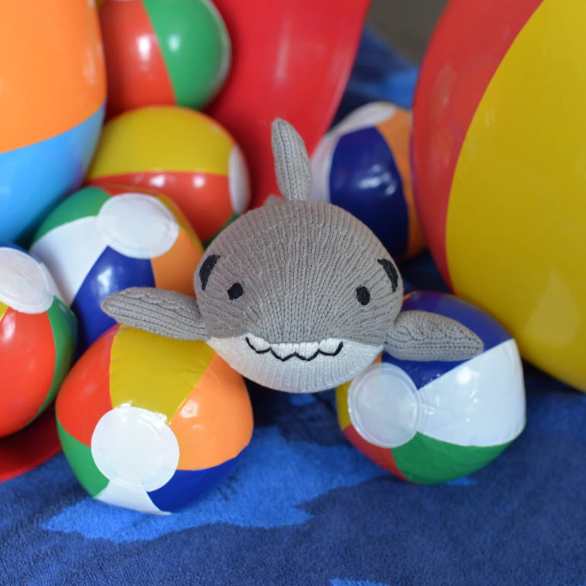 Shark - Image 2