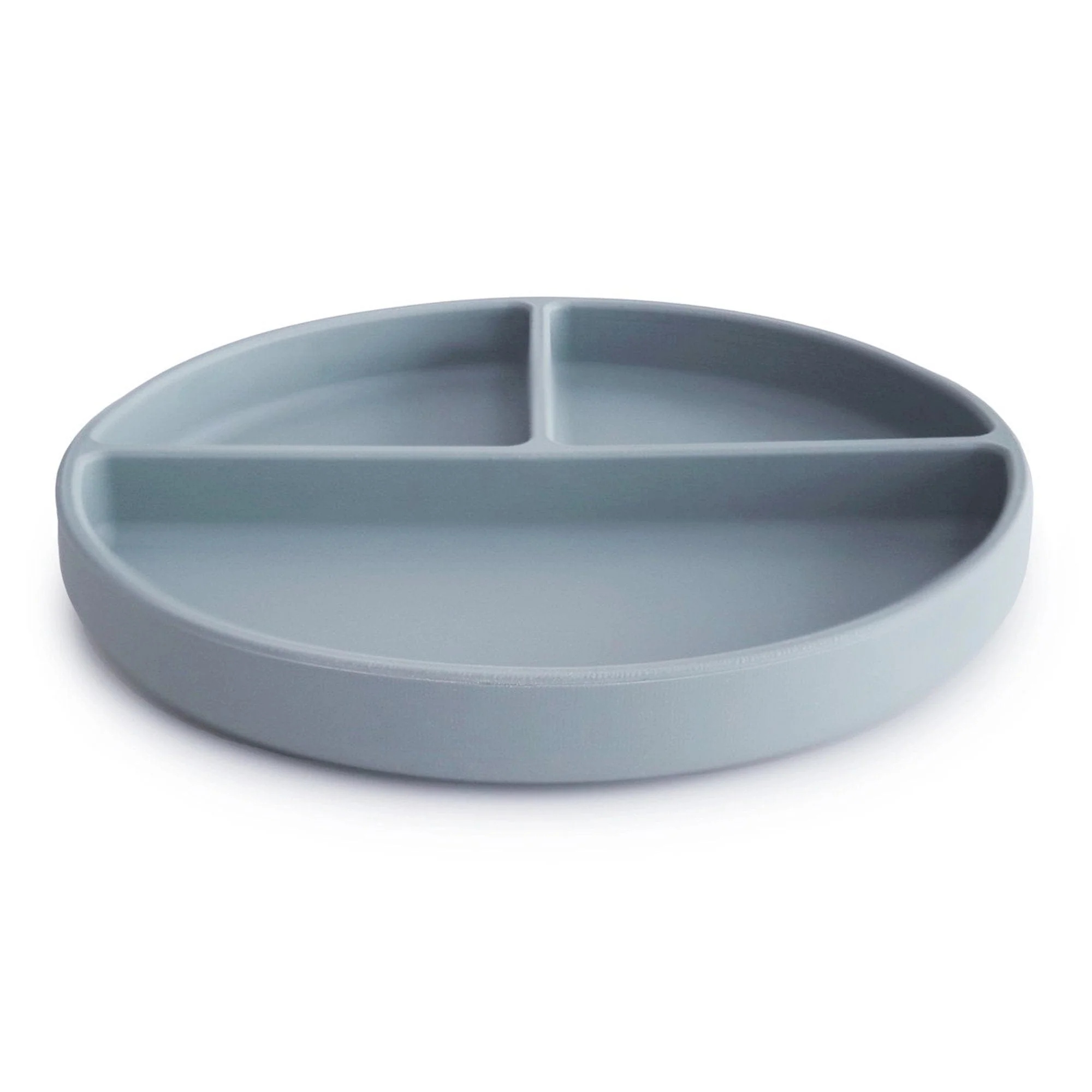 Silicone Suction Plate - Image 11
