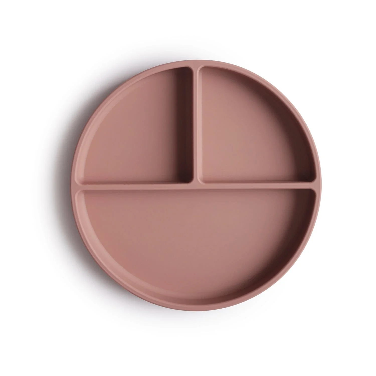 Silicone Suction Plate - Image 14