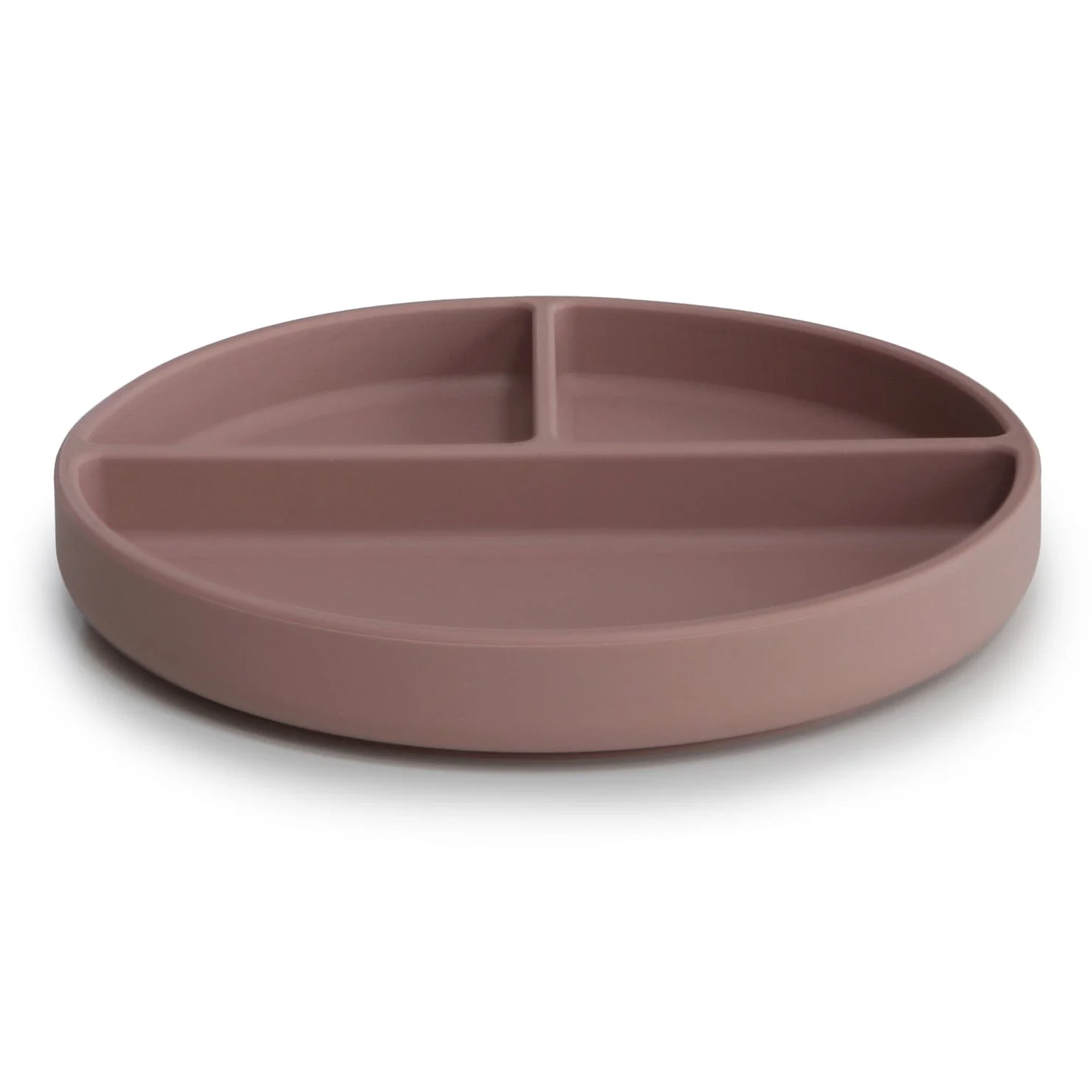 Silicone Suction Plate - Image 15