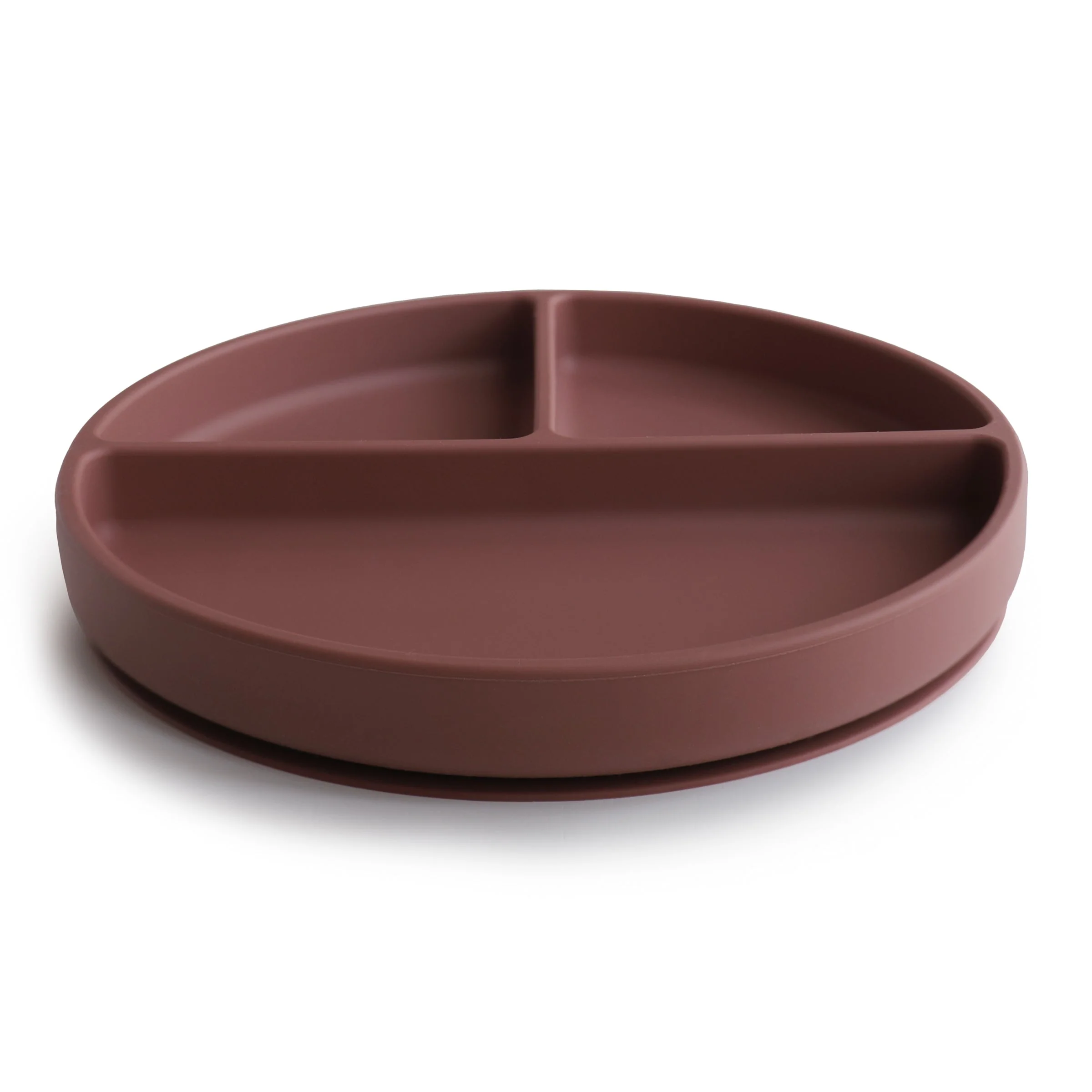 Silicone Suction Plate - Image 18