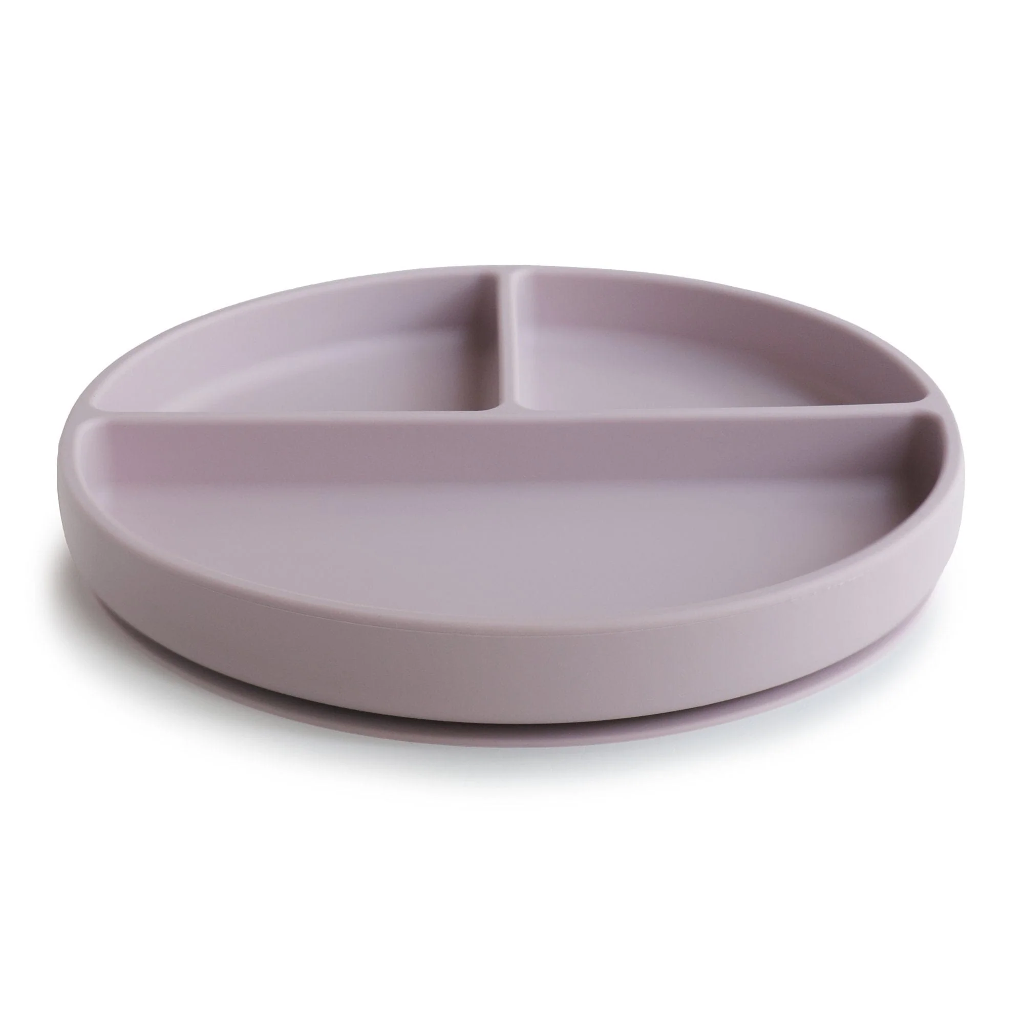 Silicone Suction Plate - Image 20