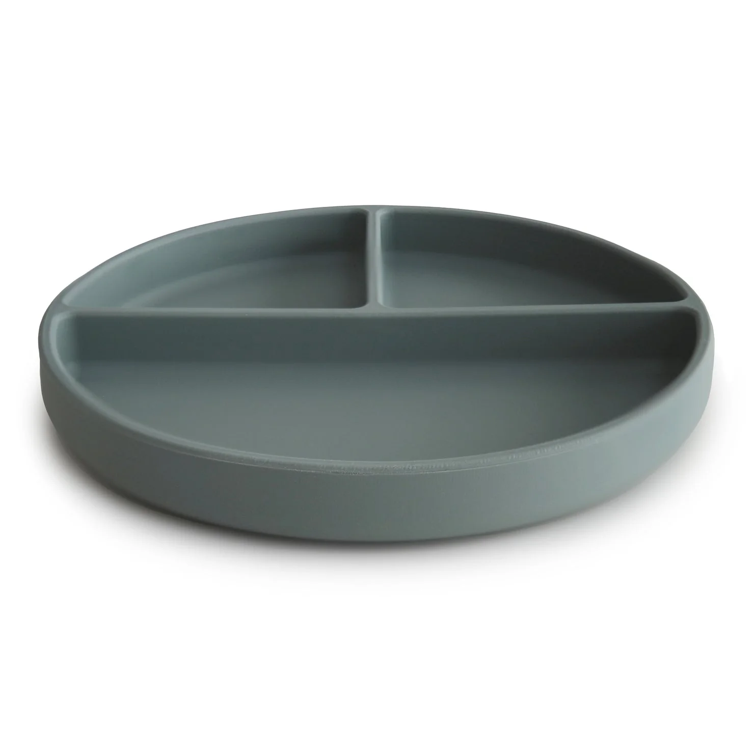 Silicone Suction Plate - Image 30