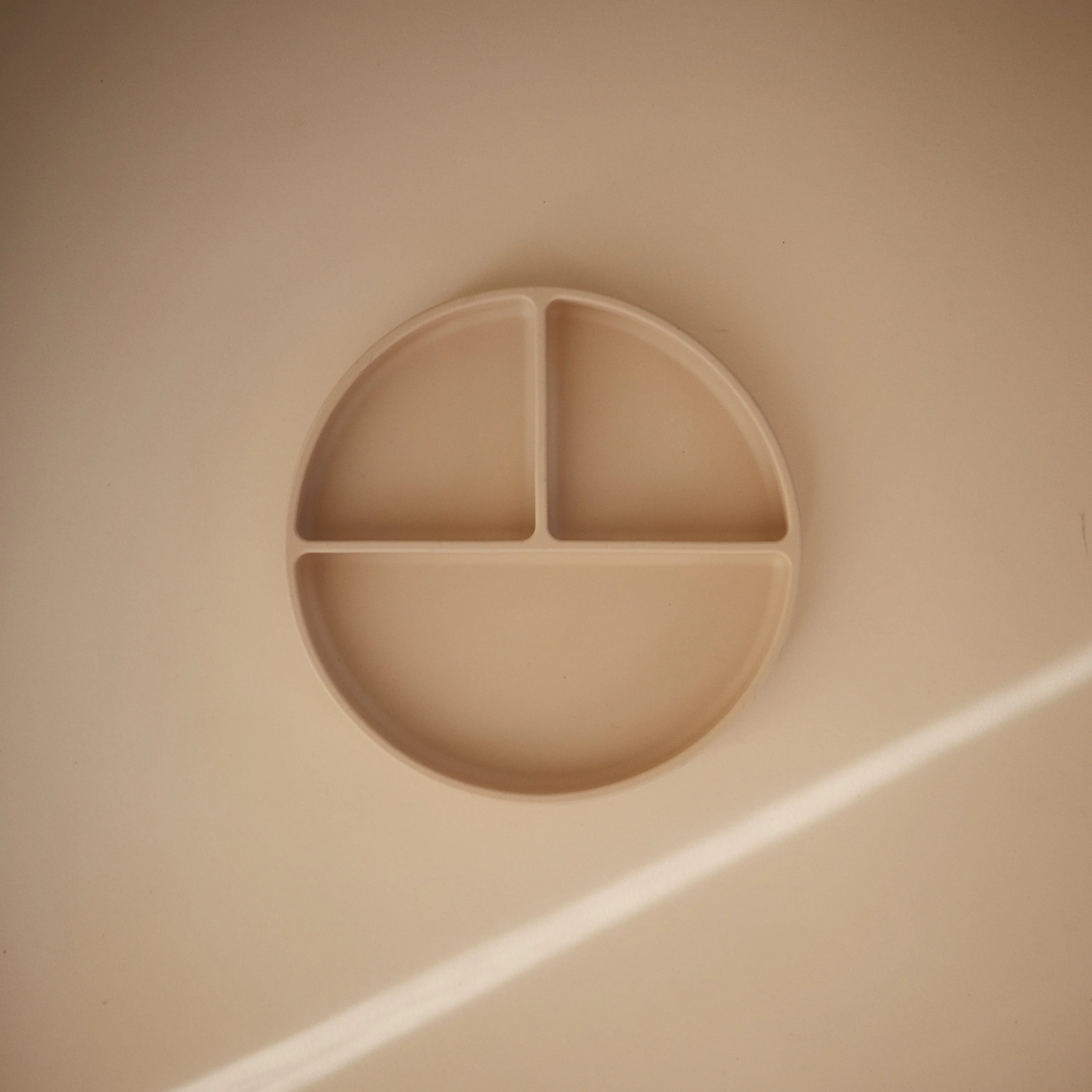 Silicone Suction Plate - Image 43