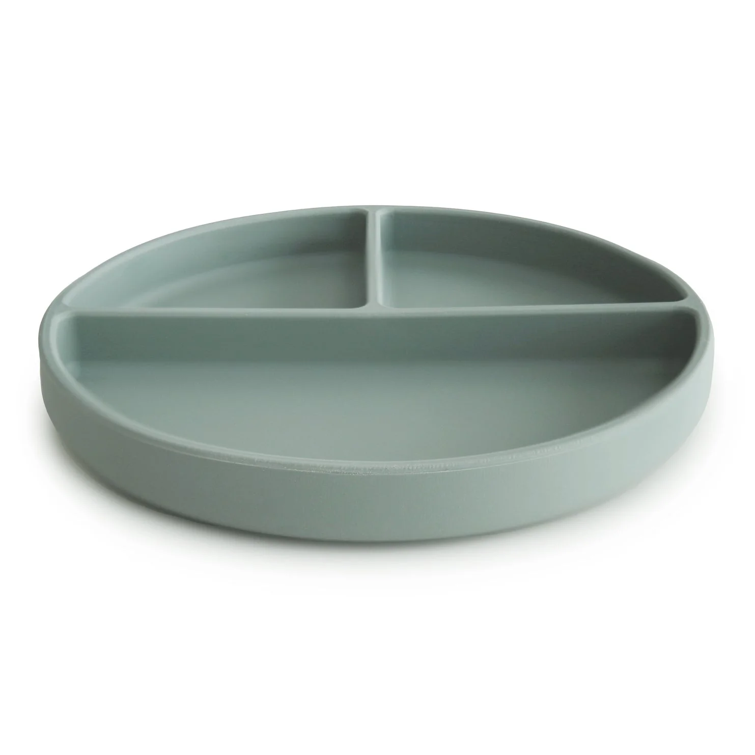 Silicone Suction Plate - Image 6