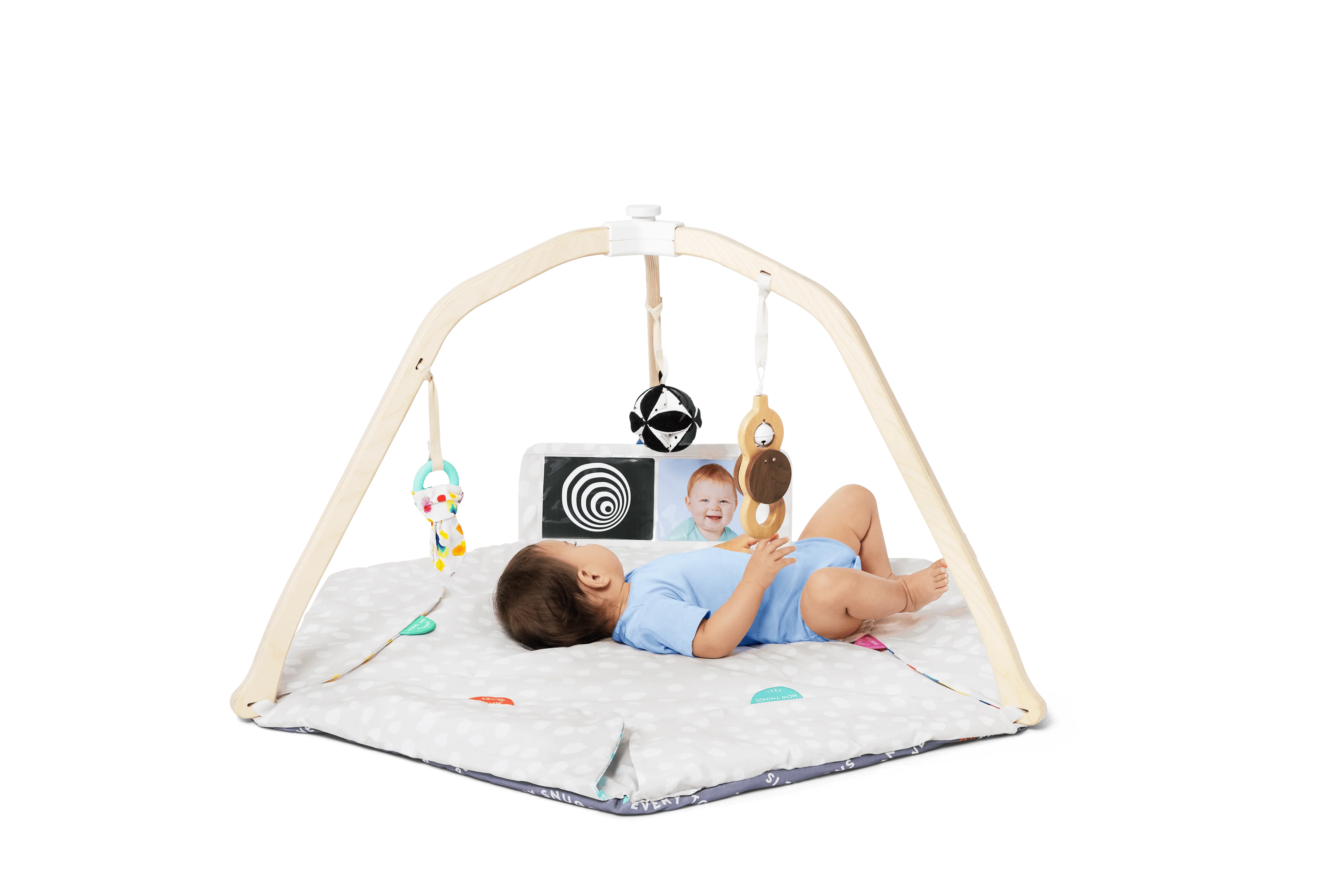 The Play Gym - Image 2