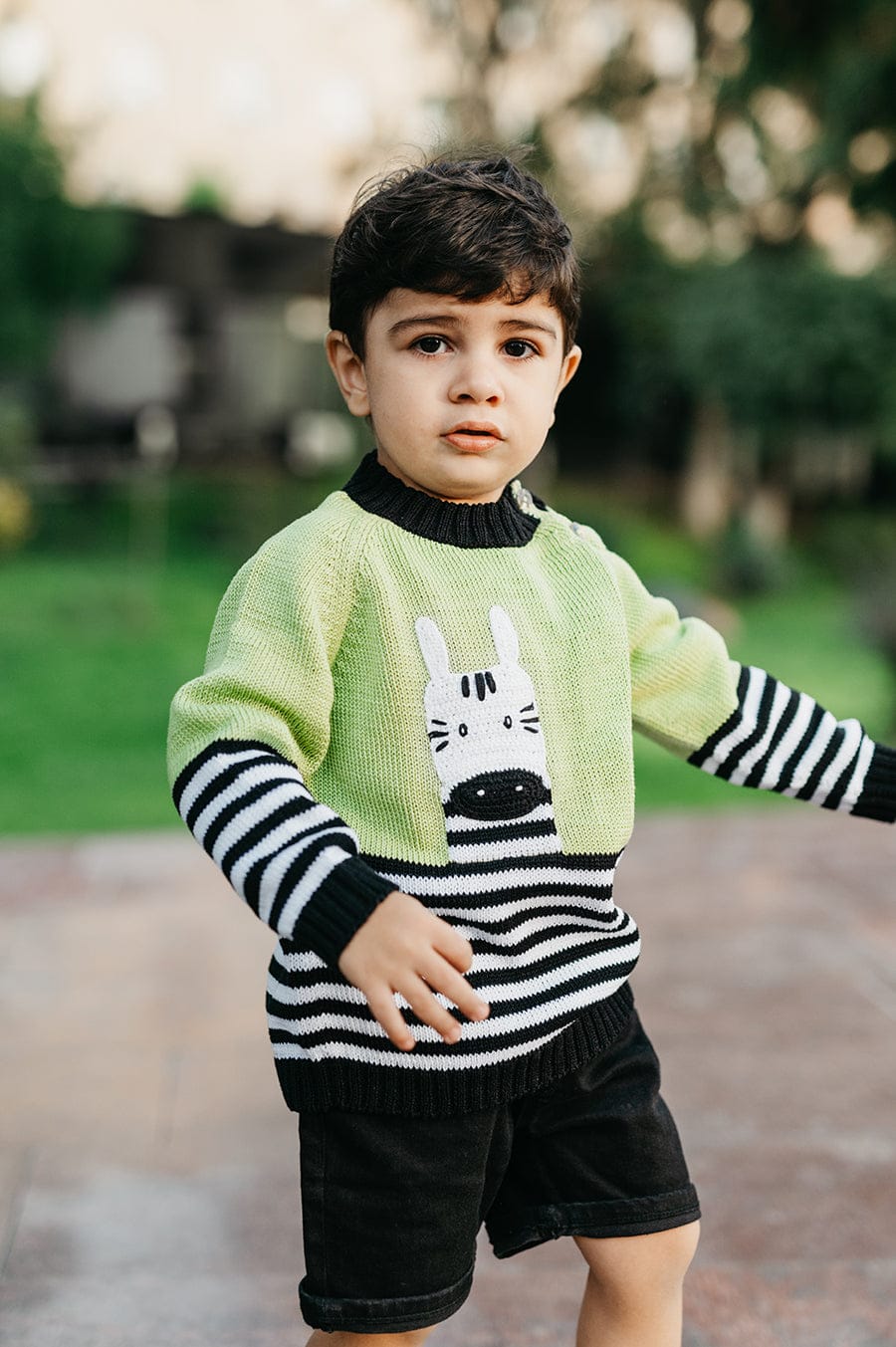 Zebra Sweater - Image 4